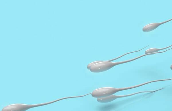 生殖器损伤是导致无精症的因素之一