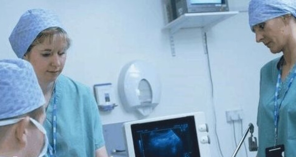 试管体检费约1000-2000元