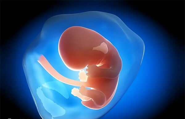 邢台没有能做三代试管的医院