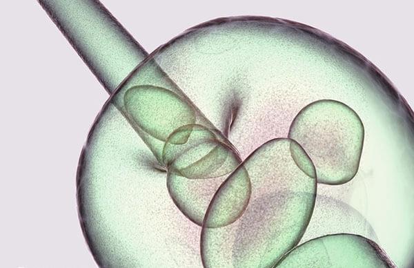 呼和浩特做试管必须有相应证件