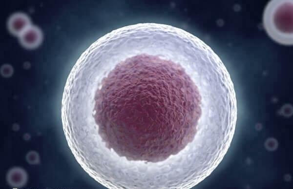 反复性失败是后悔做试管婴儿原因之一