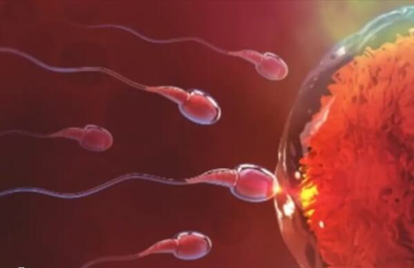 精子质量不好难生育