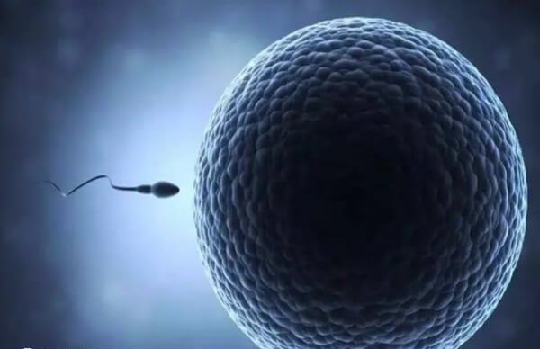 取卵后不可以坐浴