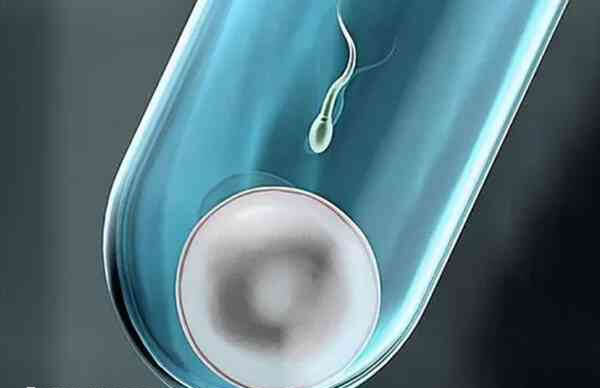 锦医大附一院做试管婴儿的成功率