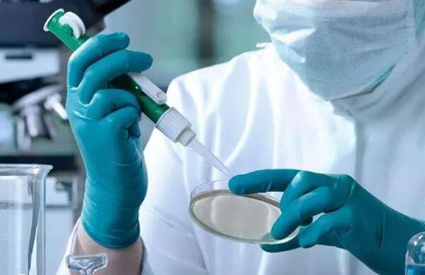 胚胎体外培养一般要3-5天