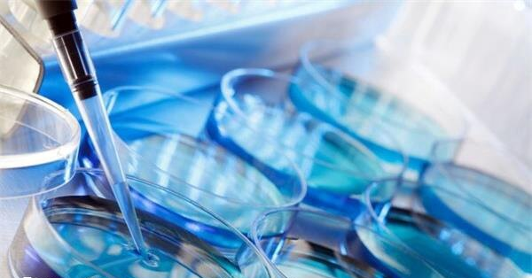 短方案通常从月经第2-3天启动促排