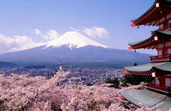 日本法律允许冻卵