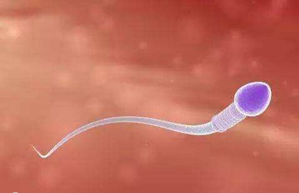 上虞有多家不孕不育医院