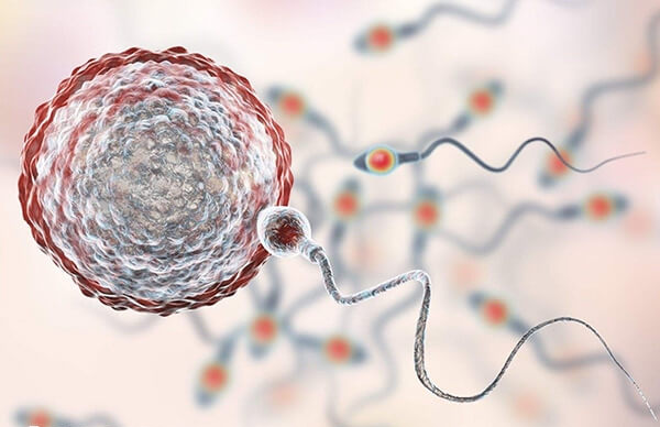 诸暨有多家不孕不育医院