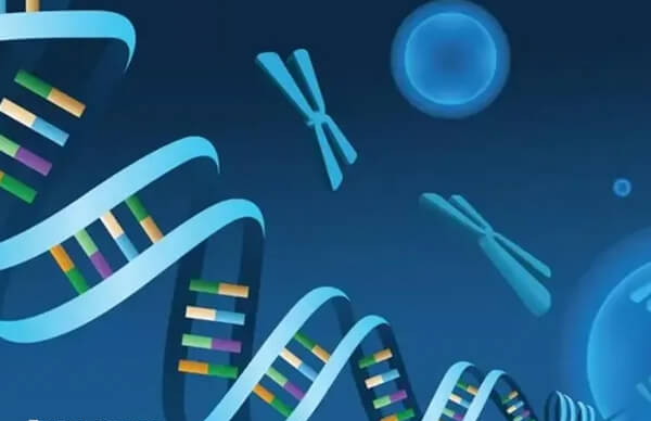 没有医学指征做试管禁止选择性别