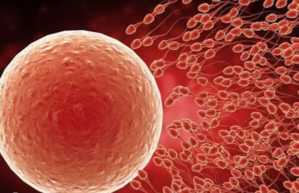 胚胎没过PGS筛查一般不建议使用