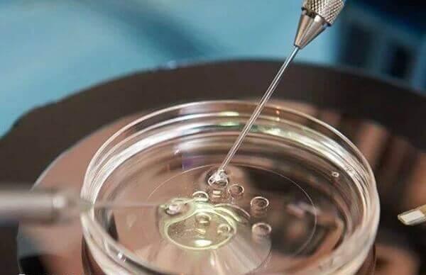 二代试管婴儿的适应人群