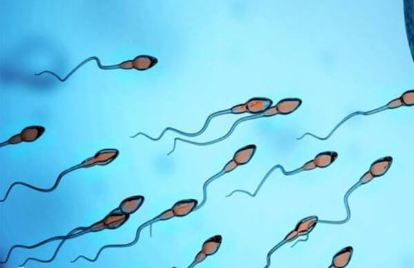 北京有多家不孕不育医院