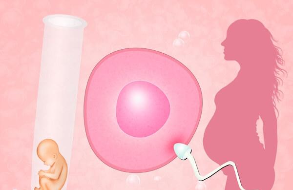 试管婴儿有怀多胎的风险