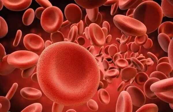 地中海贫血难以治愈