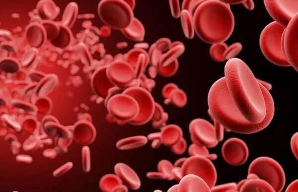 红细胞输入方法