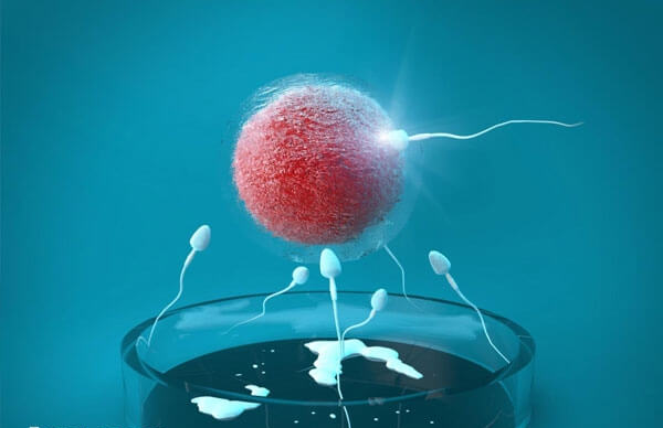 试管婴儿解冻生第二胎费用并不能一概而论