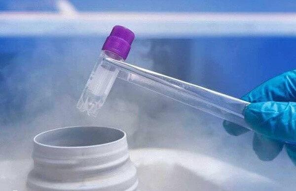 胚胎解冻费通常为2000-5000元