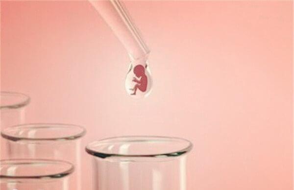 短方案的成功率大概在40%-50%左右