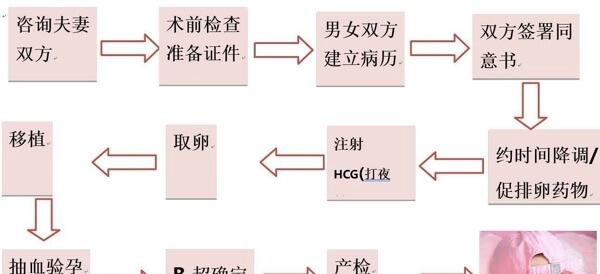 试管婴儿流程图