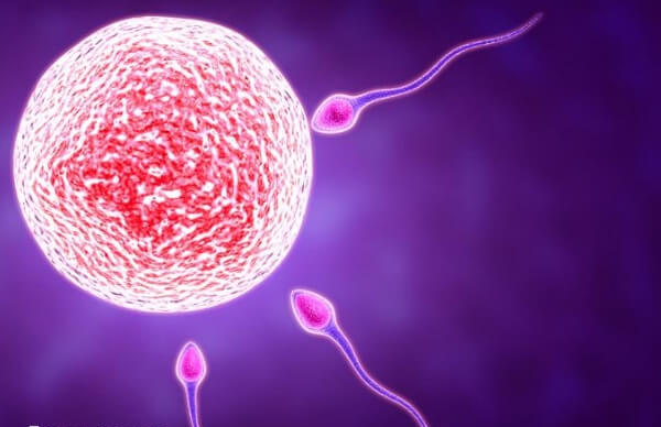 海宁有多家不孕不育医院