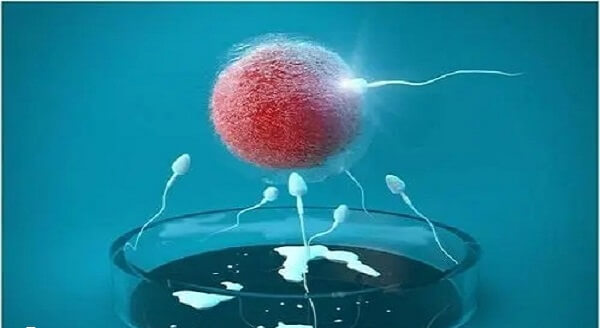 一代转二代补救的成功率约40%