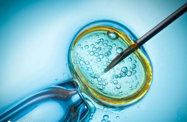 做试管婴儿可能一次就成功