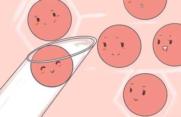 30到35周岁取卵数量多在10颗以上