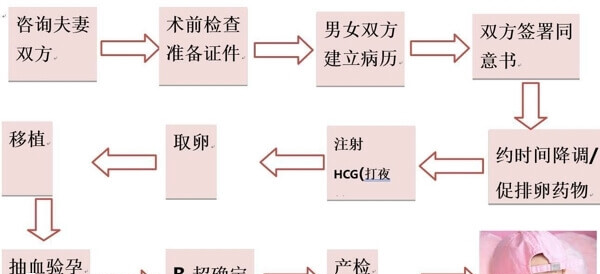 乌克兰试管婴儿流程