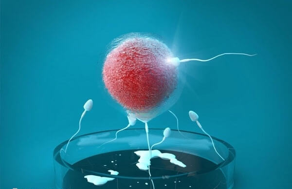 试管婴儿有失败的可能