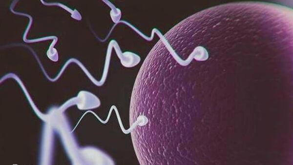 龙口有多家不孕不育医院