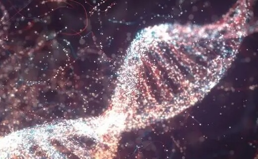 染色体检查是女性备孕前的检查项目