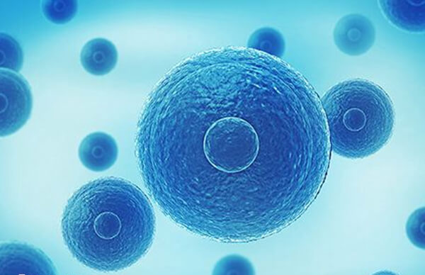 5cb囊胚具备移植的必要性