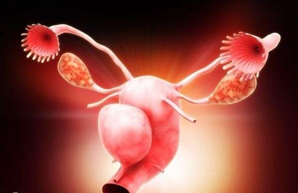 输卵管炎症是导致输卵管堵塞的原因之一