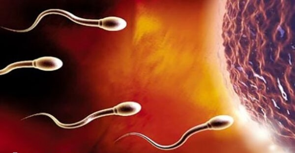 石首有多家不孕不育医院