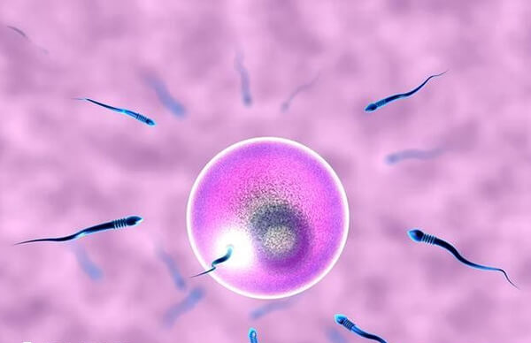 养囊不一定会成功