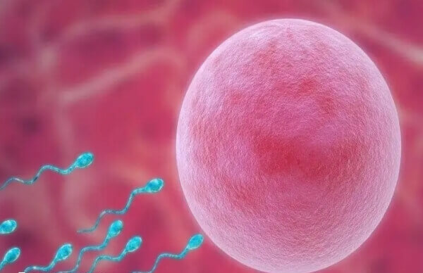 宜城有多家不孕不育医院