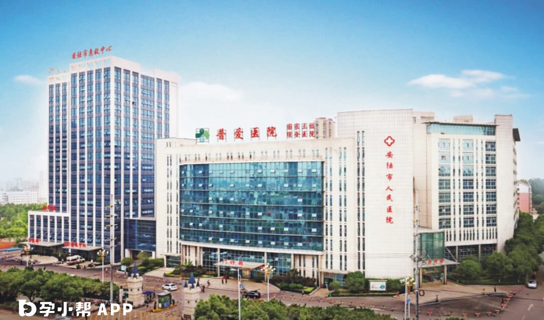 安陆市普爱医院