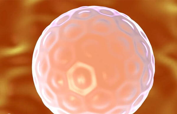 醴陵有多家不孕不育医院