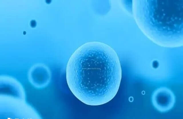 超长方案一般适用于子宫内膜异位症