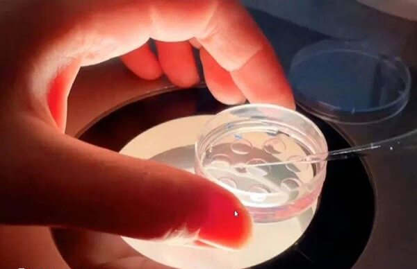 胚胎着床通常发生在移植后6-10天