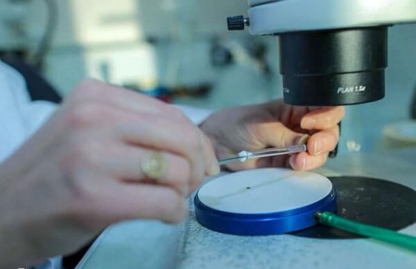 试管opu本身并不属于特定的试管婴儿方案