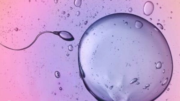 津市有多家不孕不育医院