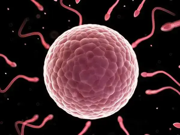 涟源有多家不孕不育医院