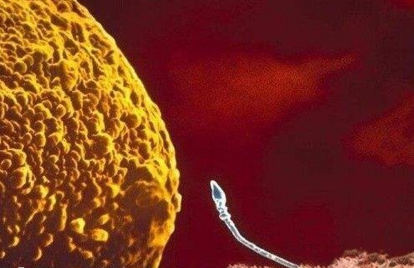 沅江有多家不孕不育医院