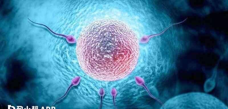 试管婴儿费用受多方面因素影响