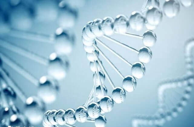 染色体片段重复检测有局限性