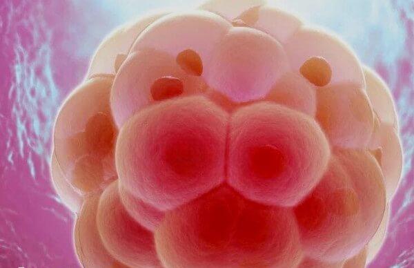 胚胎移植对子宫内膜厚度是有一定要求