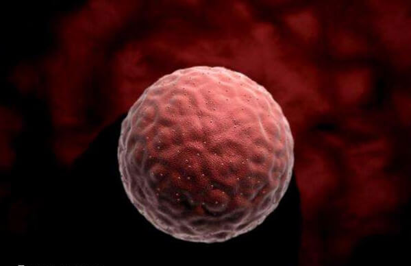 三级胚胎质量不佳