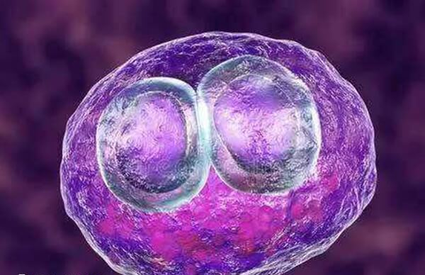 试管婴儿移植过程会很严格